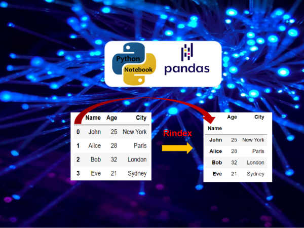 Practical Methods to Reindex Rows of DataFrame with Pandas